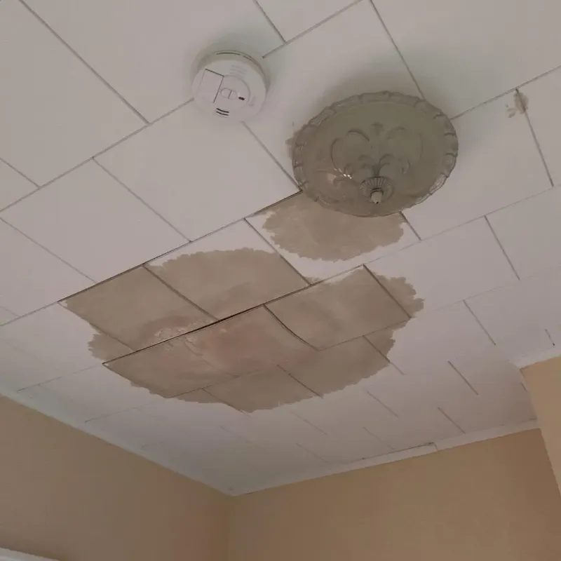 Ceiling Water Damage Repair in Inman, KS