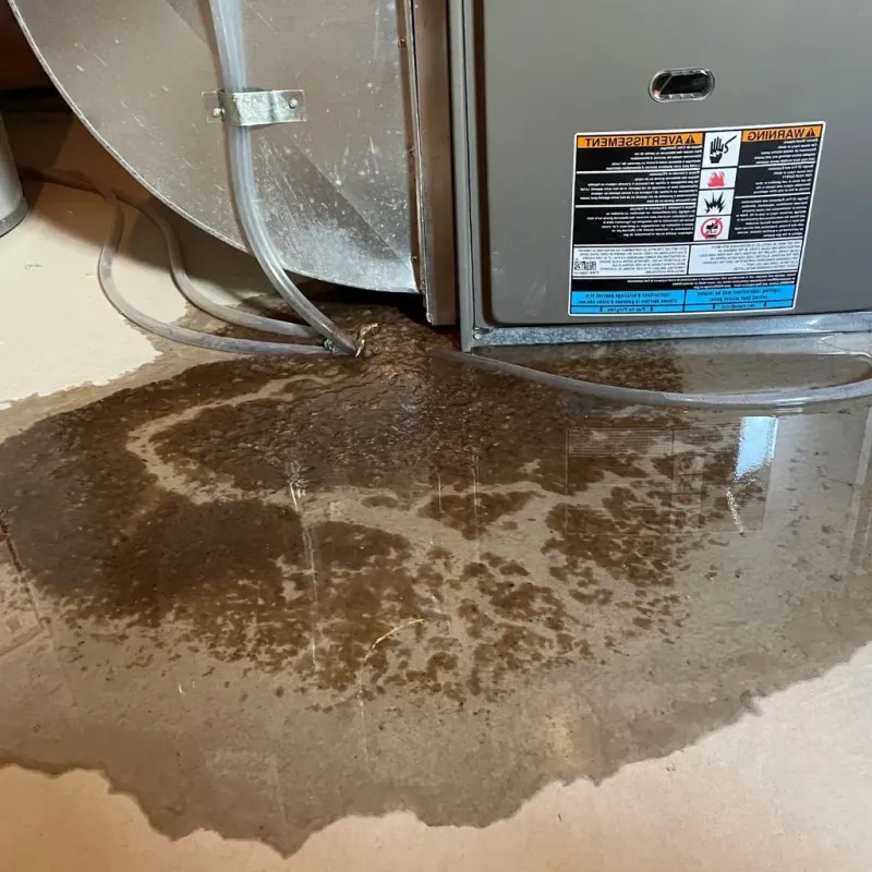Pipe Burst and Leak Restoration in Inman, KS