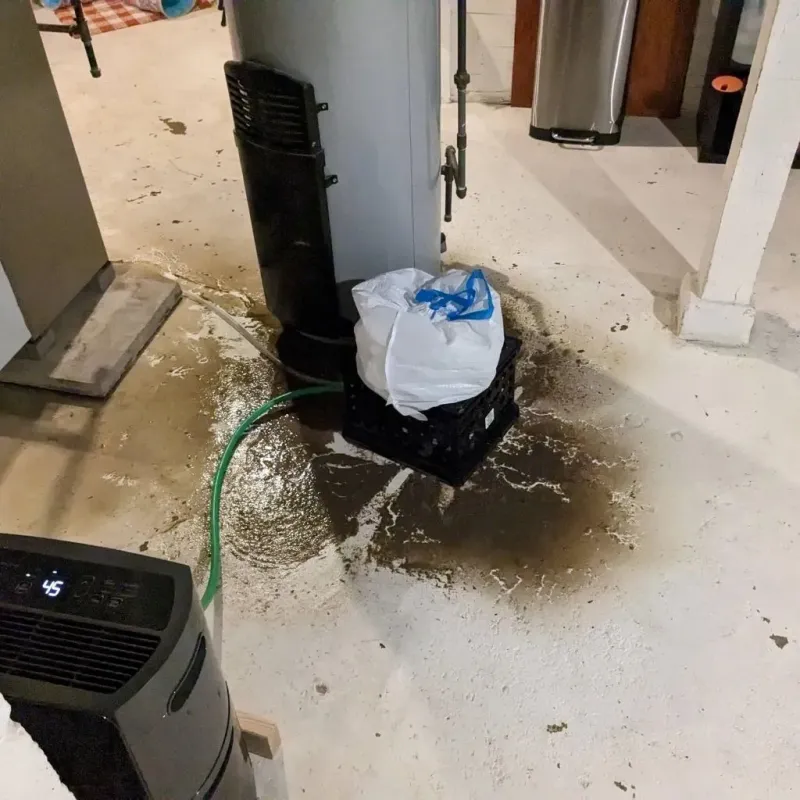 Sewage Backup Cleanup Service in Inman, KS